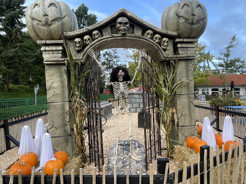 Trick or Treat