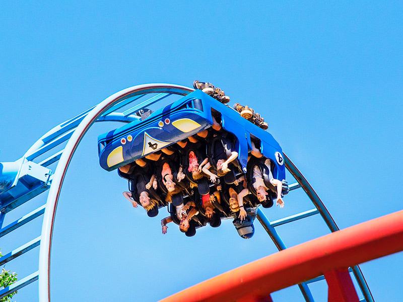 Newsletter Highlights – Warner Park Madrid